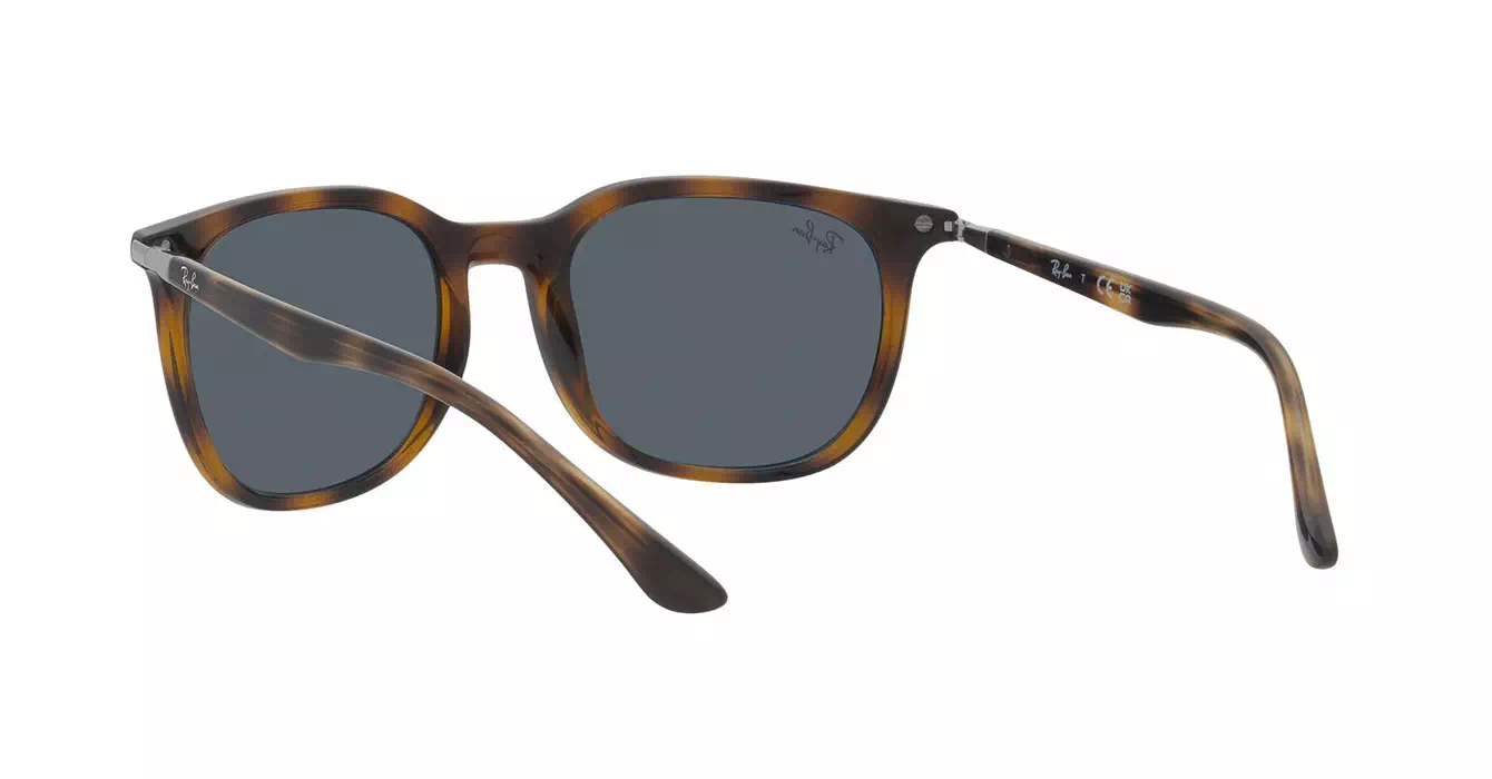 Ray-Ban RB4386F 710/R5 s55