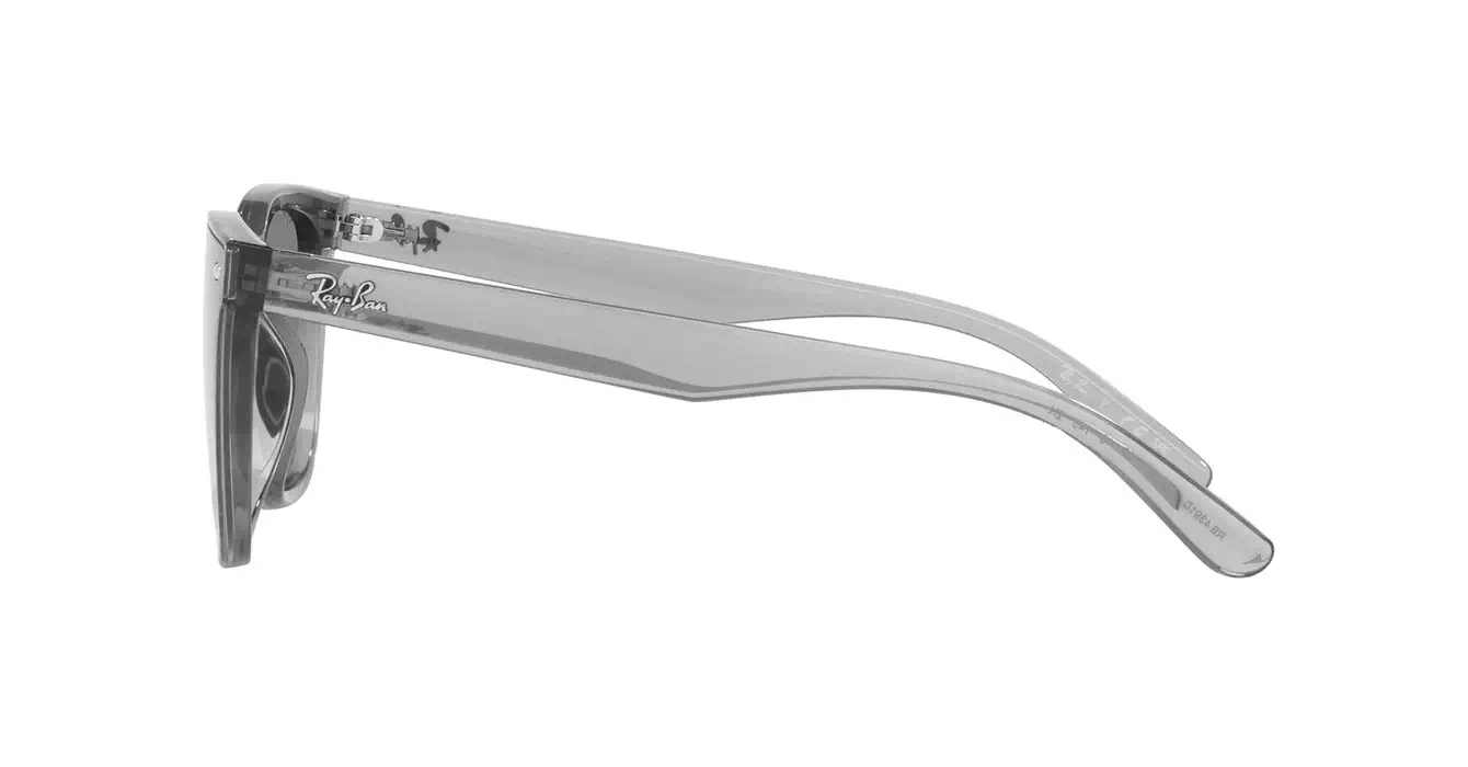 Ray-Ban RB4391D 6450/87 s65