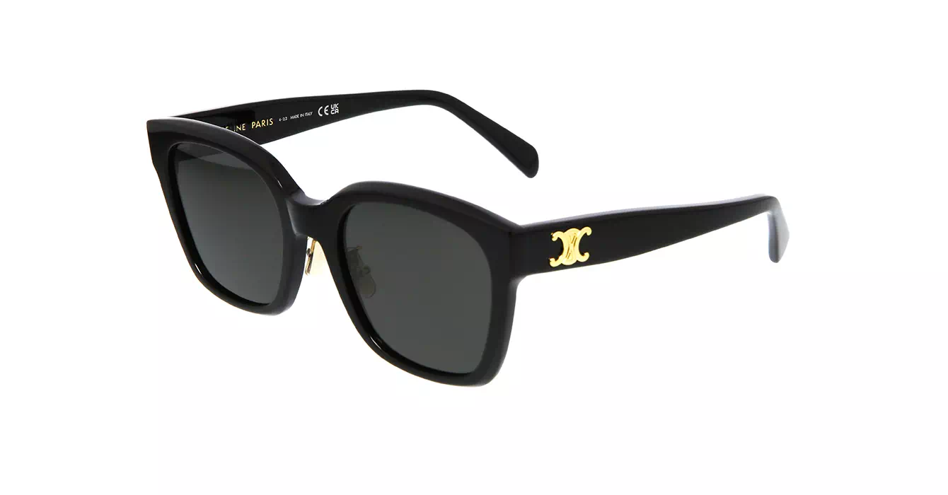 Celine CL40222F 01A s55