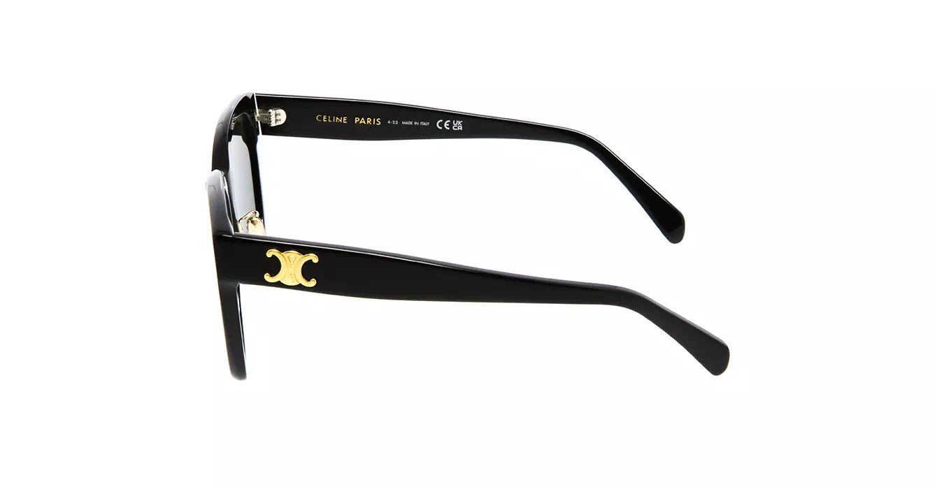 Celine CL40222F 01A s55