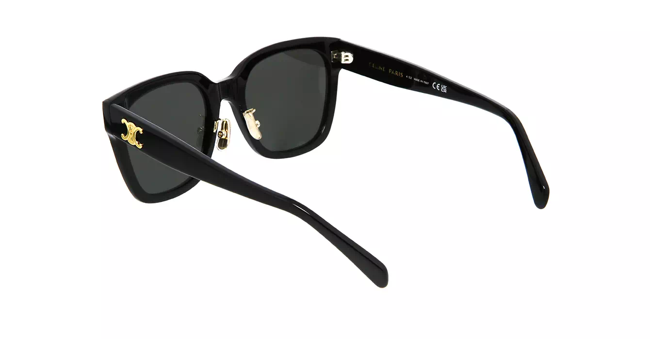 Celine CL40222F 01A s55