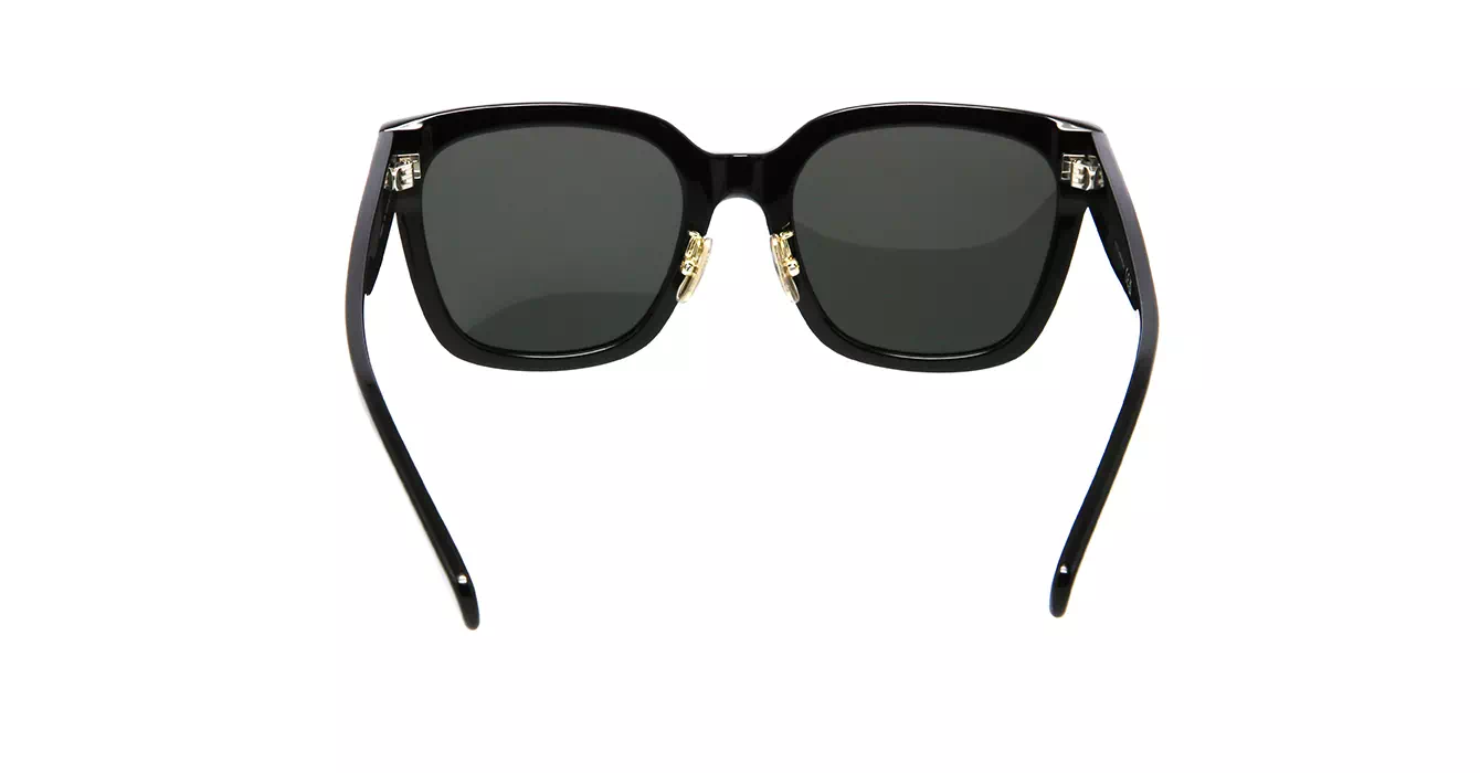 Celine CL40222F 01A s55