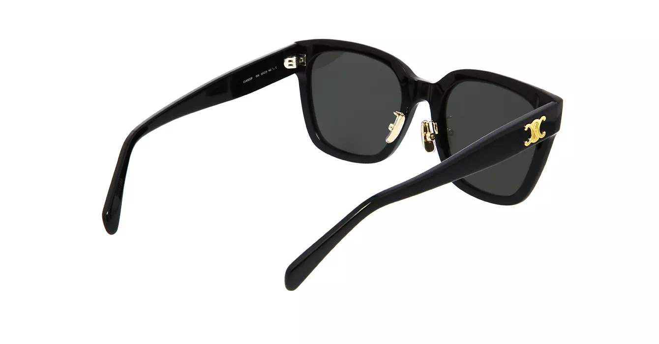 Celine CL40222F 01A s55