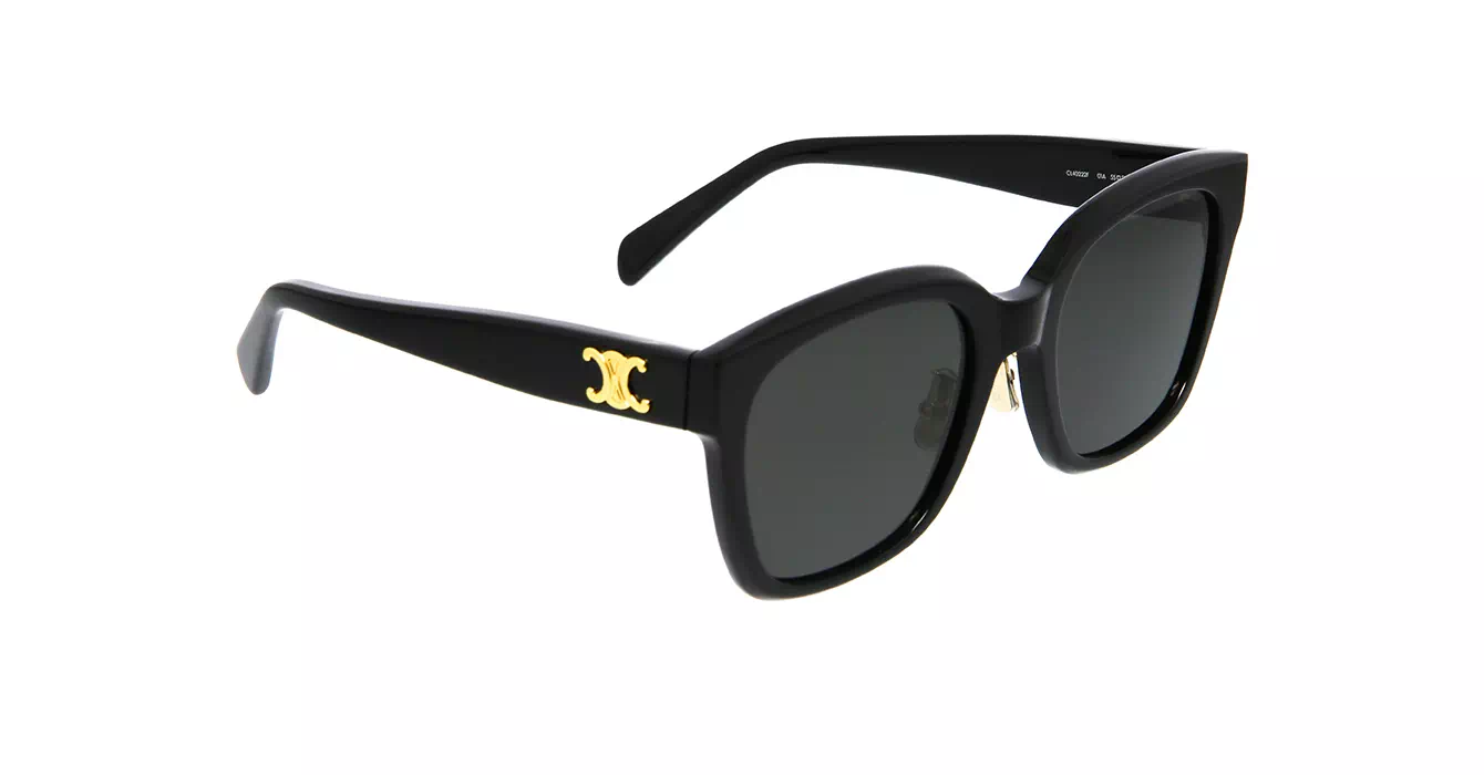 Celine CL40222F 01A s55