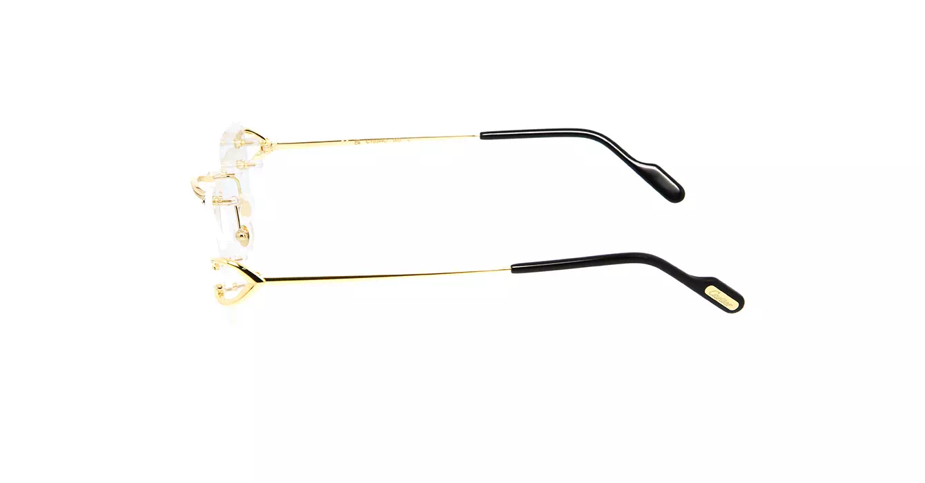 Cartier CT0344O 003 s56