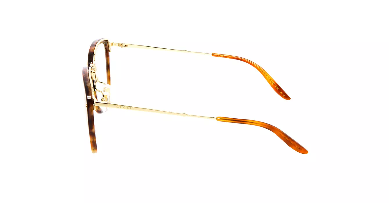 Gucci GG0673S 006 s56 PH