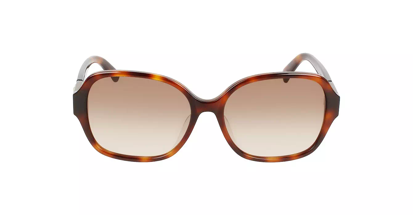 Longchamp LO726SLBJ 230 s57