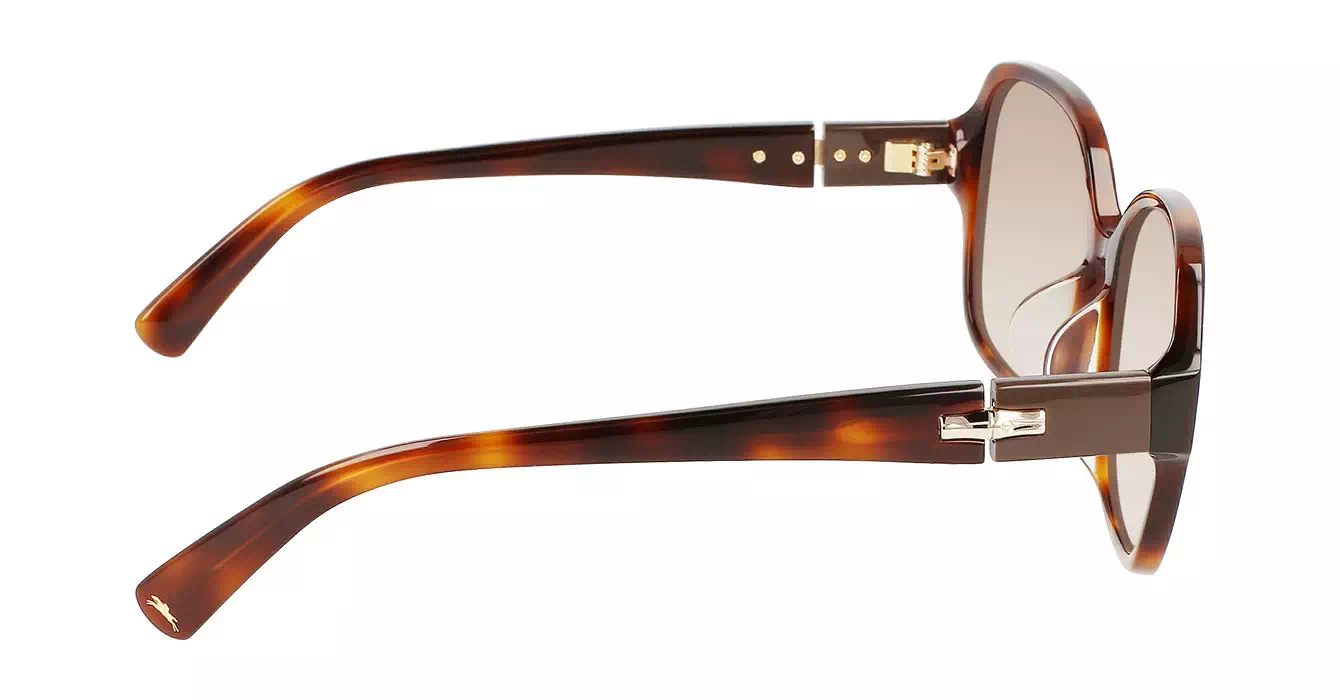 Longchamp LO726SLBJ 230 s57