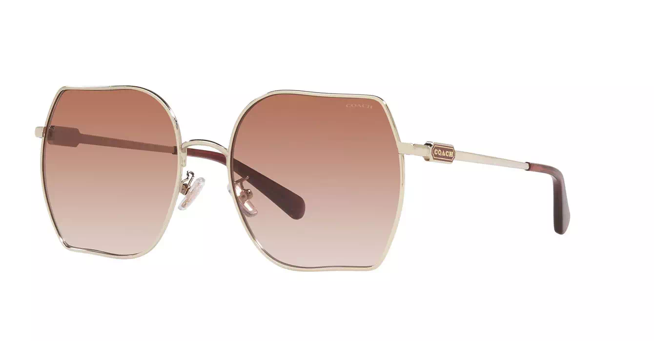 Coach HC7142 9429/13 s58