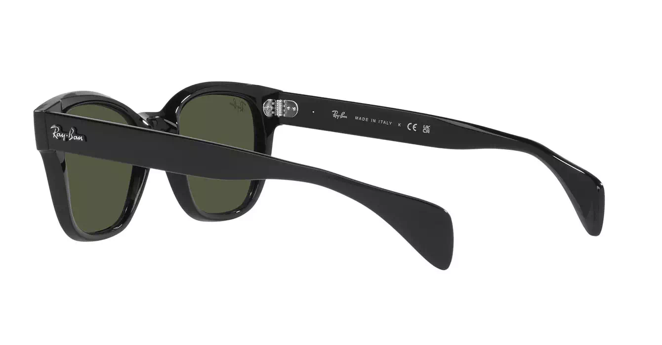 Ray-Ban RB0880S-F 901/31 s53