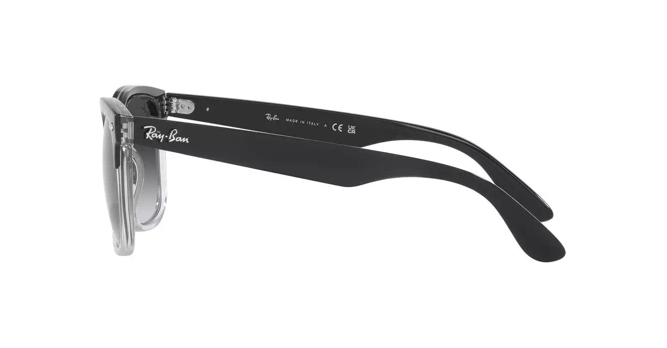 Ray-Ban RB4487-F 6630/8G s54