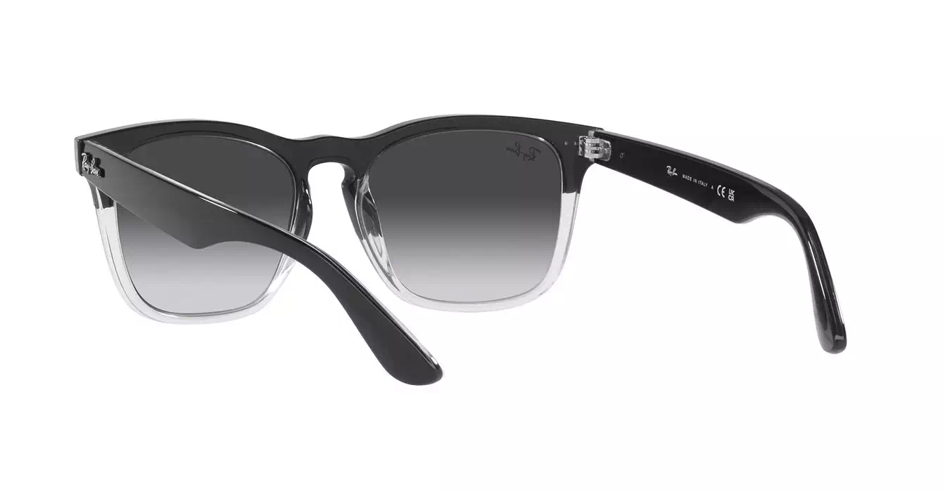 Ray-Ban RB4487-F 6630/8G s54