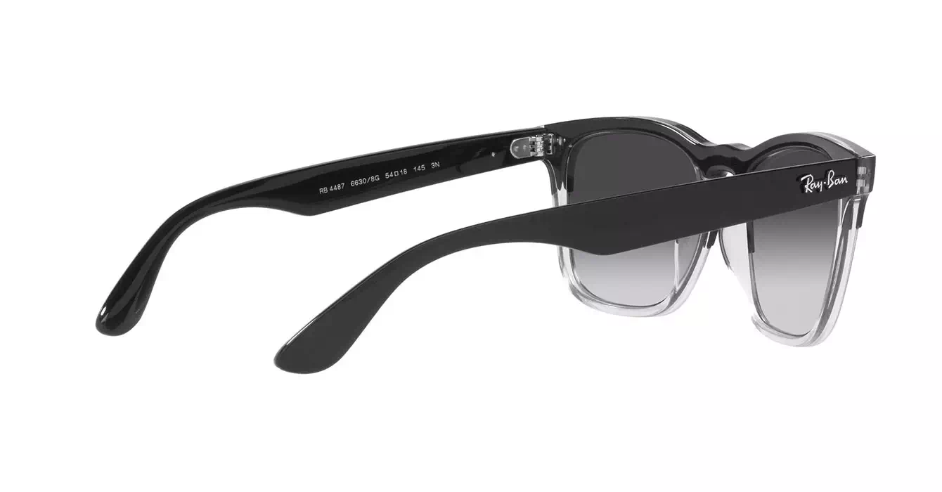 Ray-Ban RB4487-F 6630/8G s54