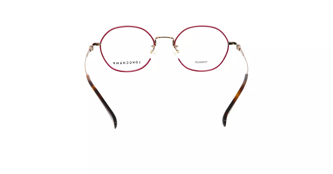Longchamp LO2520LBJ 733 s49