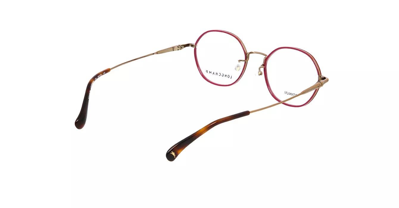 Longchamp LO2520LBJ 733 s49