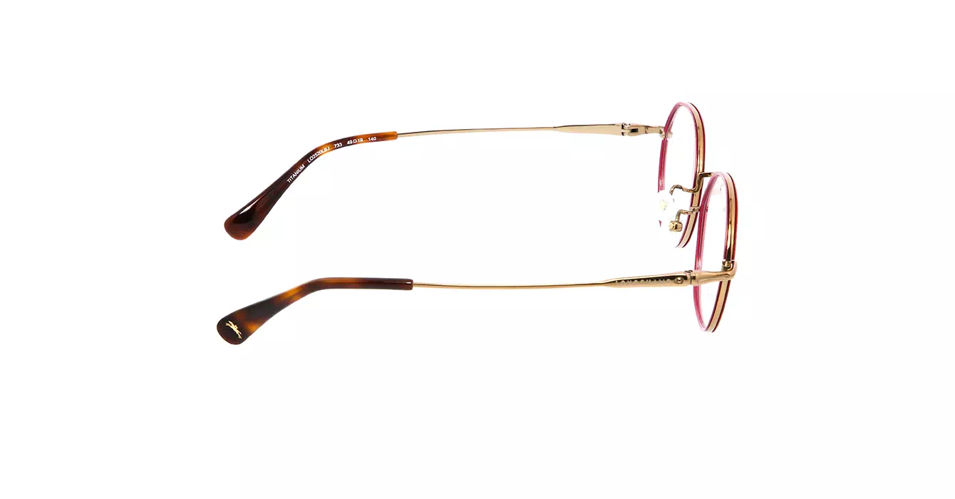 Longchamp LO2520LBJ 733 s49