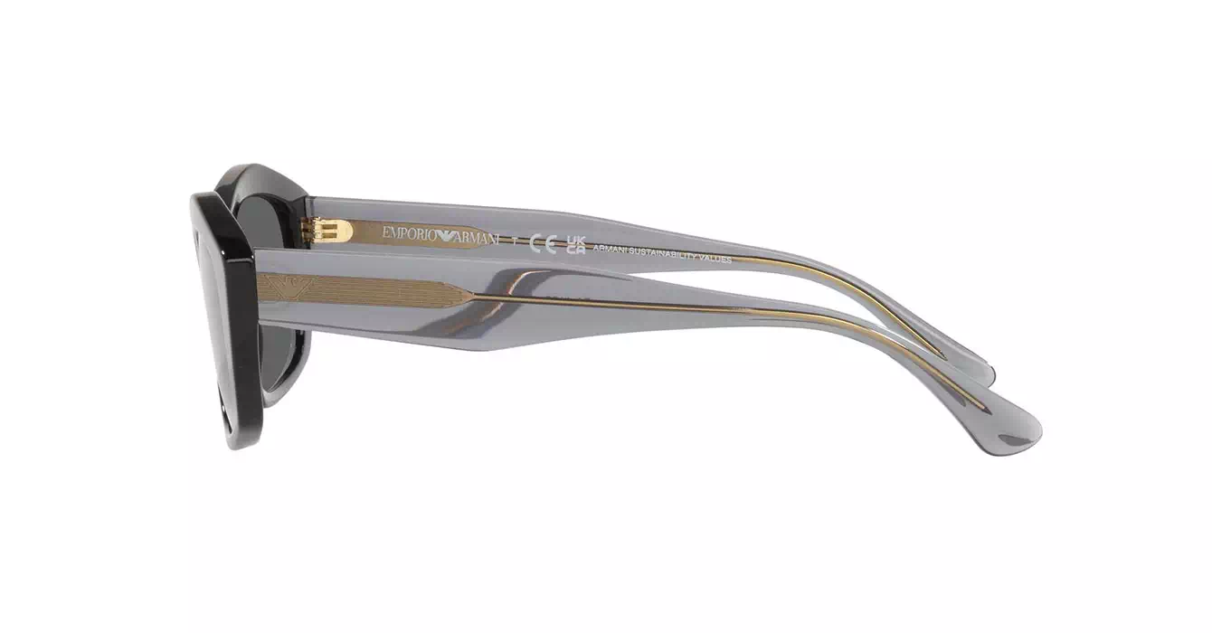 Emporio Armani EA4187F 5017/87 s56