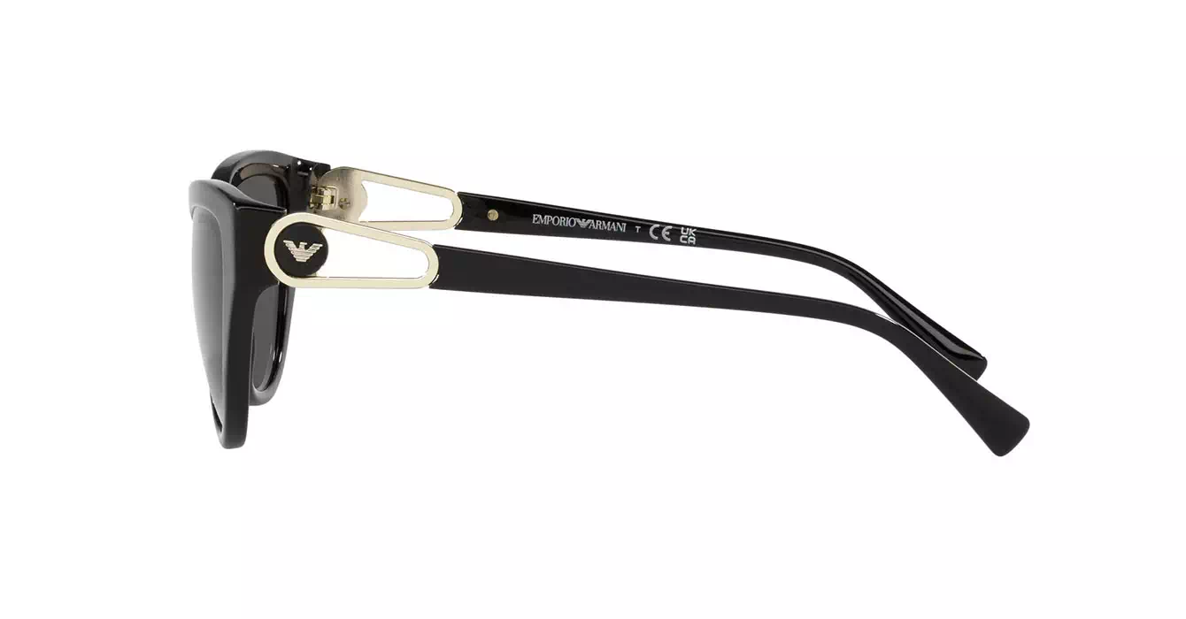 Emporio Armani EA4192F 5017/87 s57