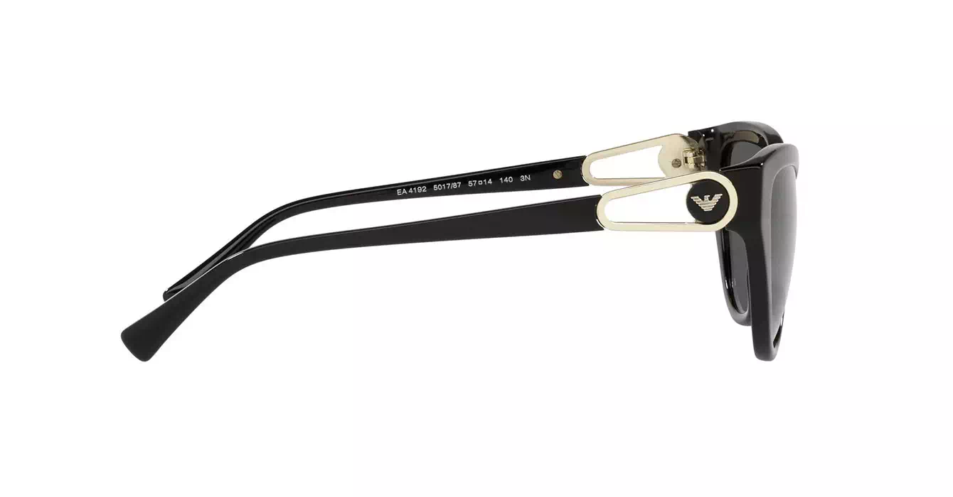 Emporio Armani EA4192F 5017/87 s57