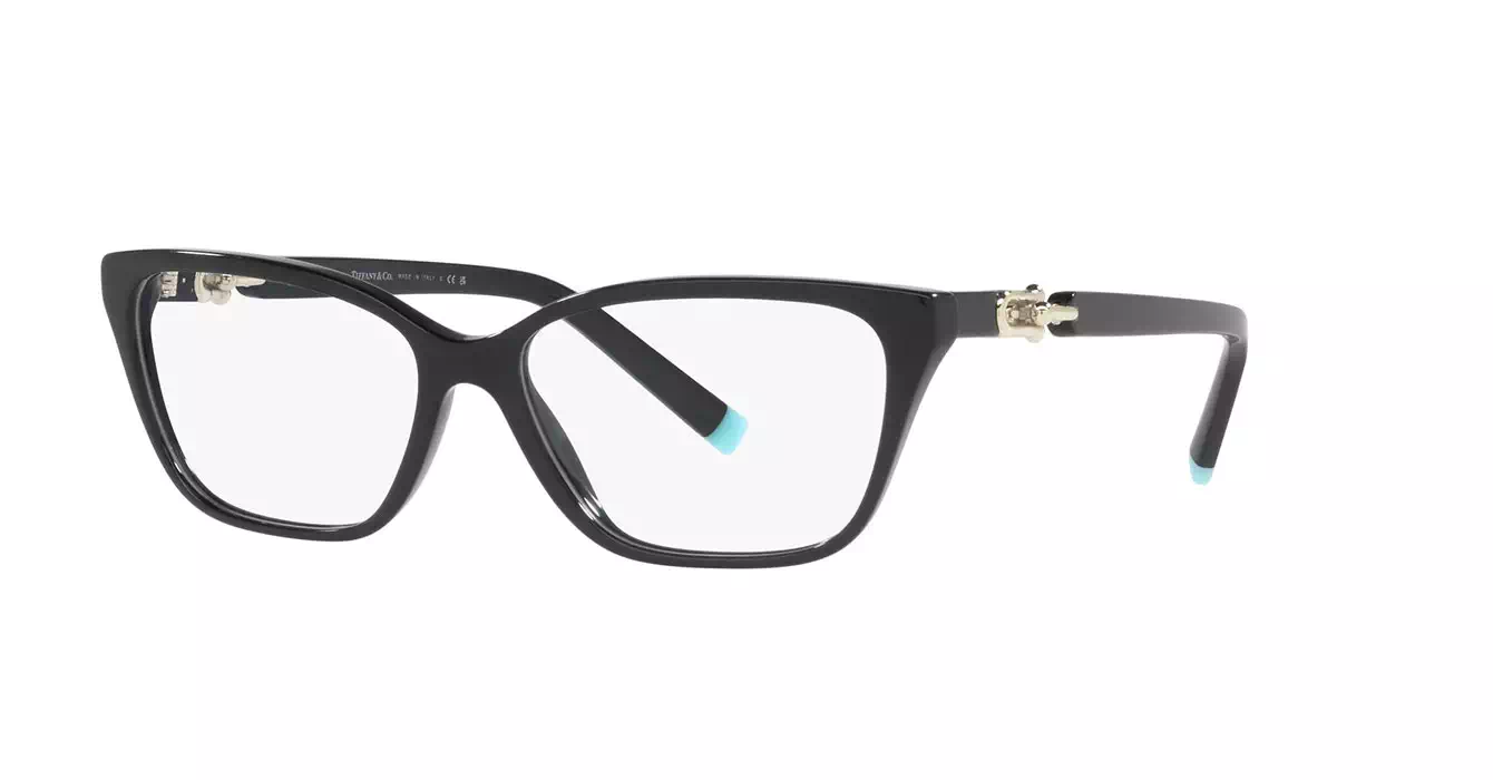 Tiffany&co TF2229-F 8001 s53