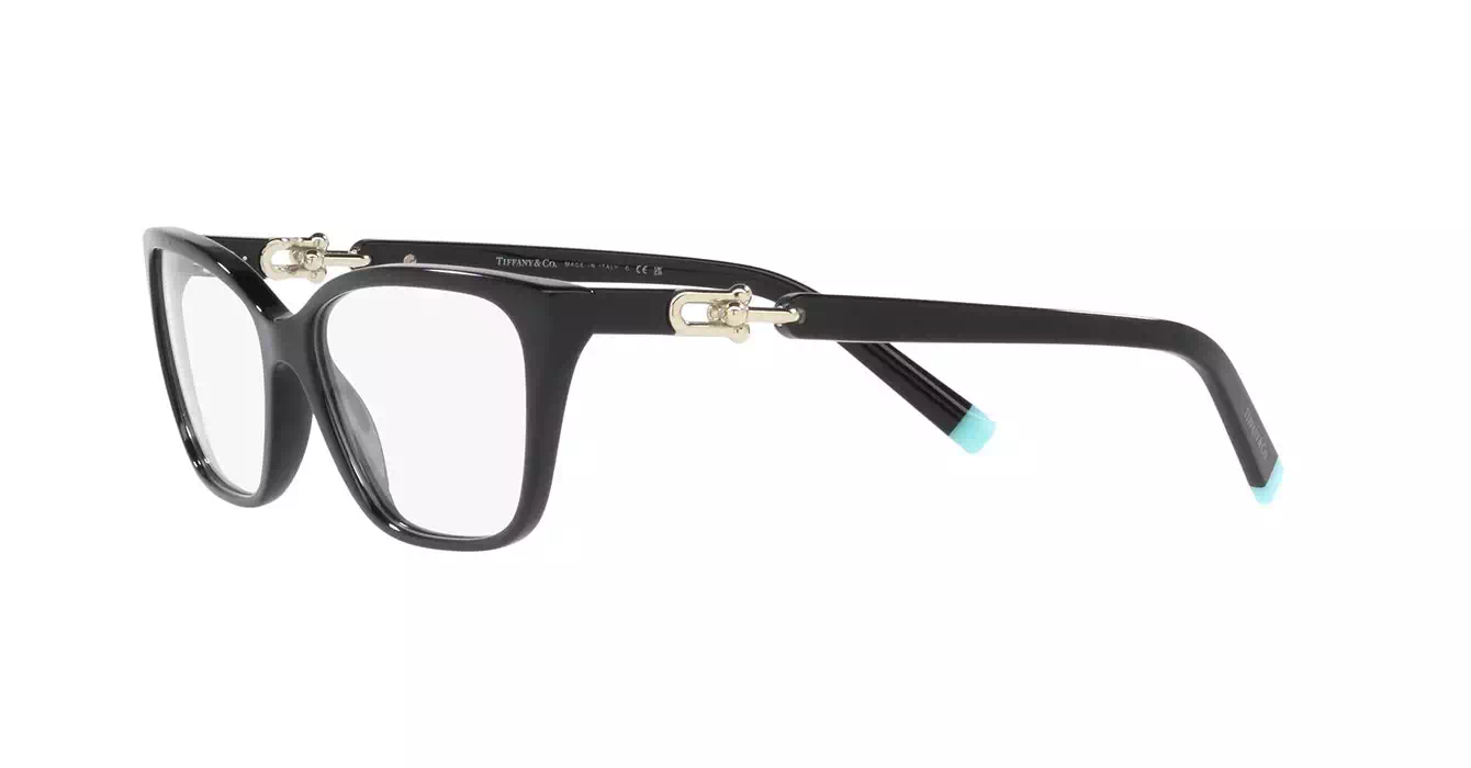 Tiffany&co TF2229-F 8001 s53