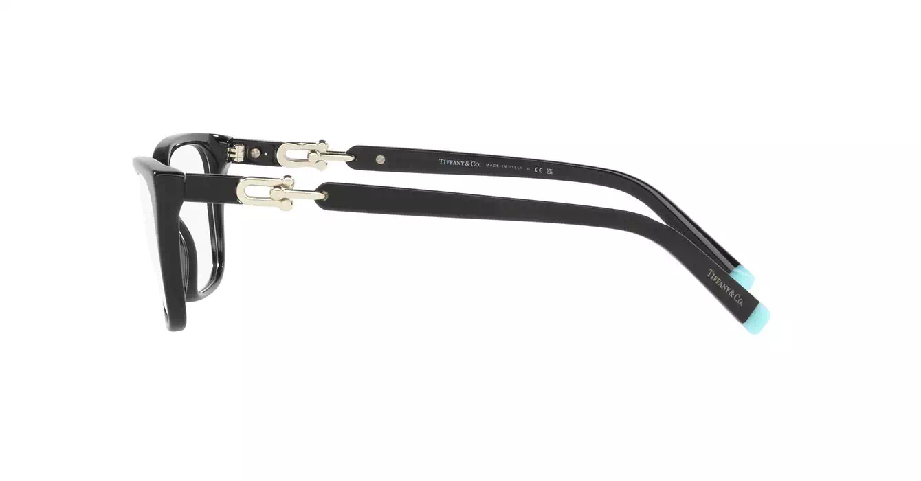 Tiffany&co TF2229-F 8001 s53