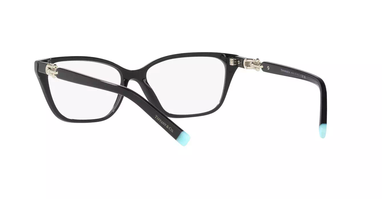 Tiffany&co TF2229-F 8001 s53