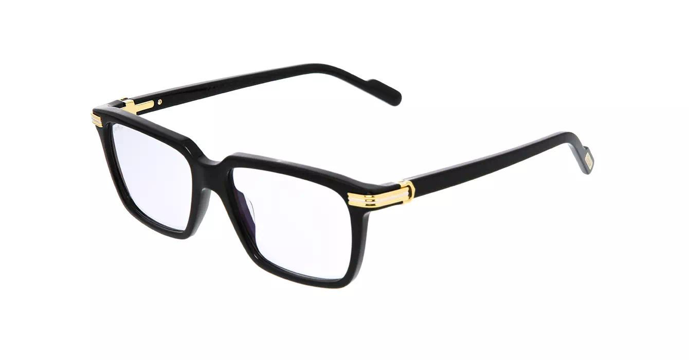 Cartier CT0220S 006 s55