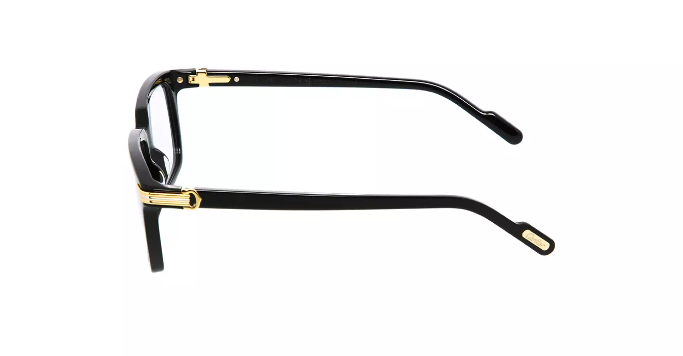 Cartier CT0220S 006 s55