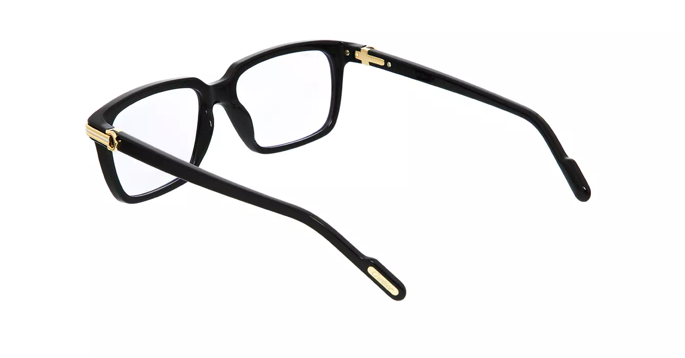 Cartier CT0220S 006 s55