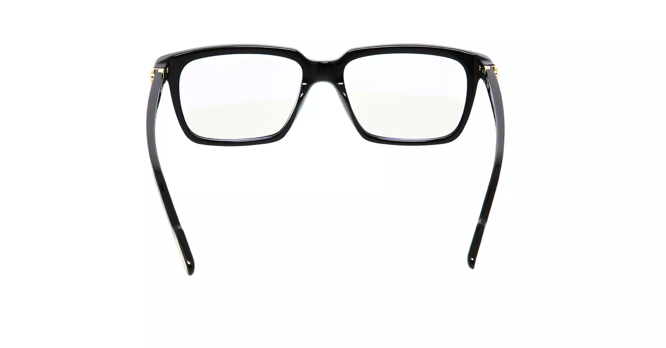 Cartier CT0220S 006 s55