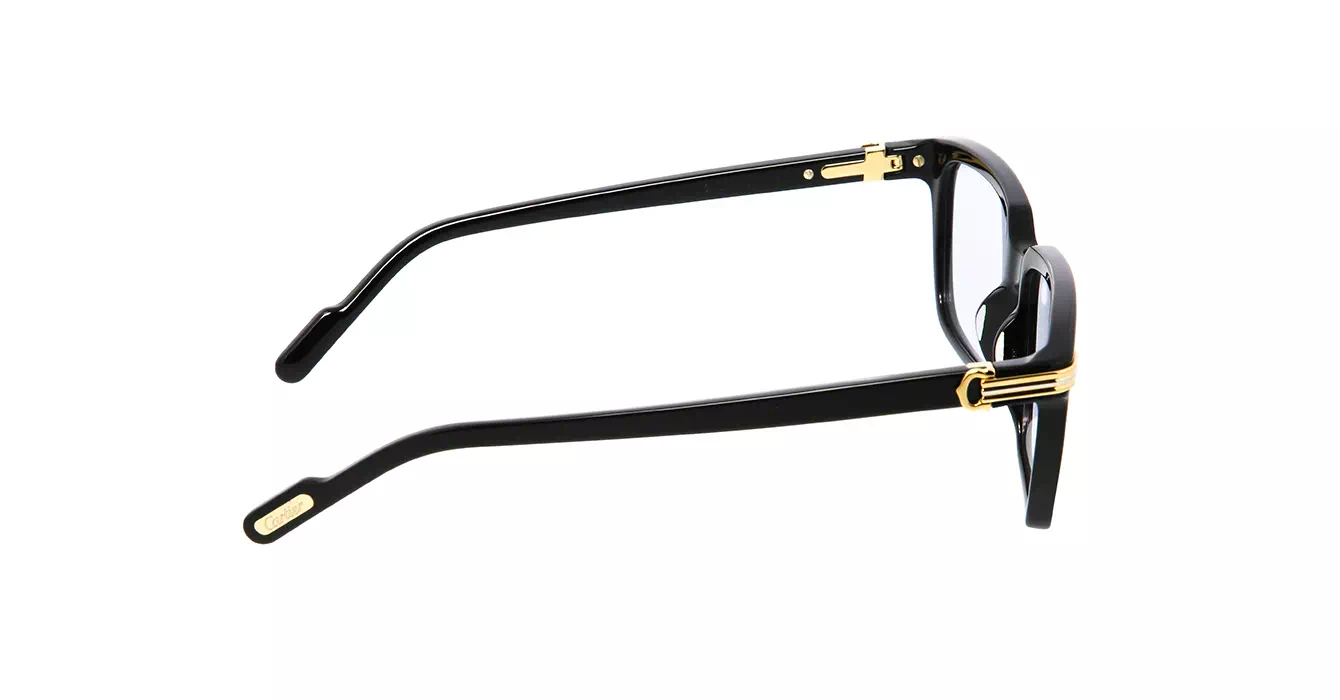 Cartier CT0220S 006 s55