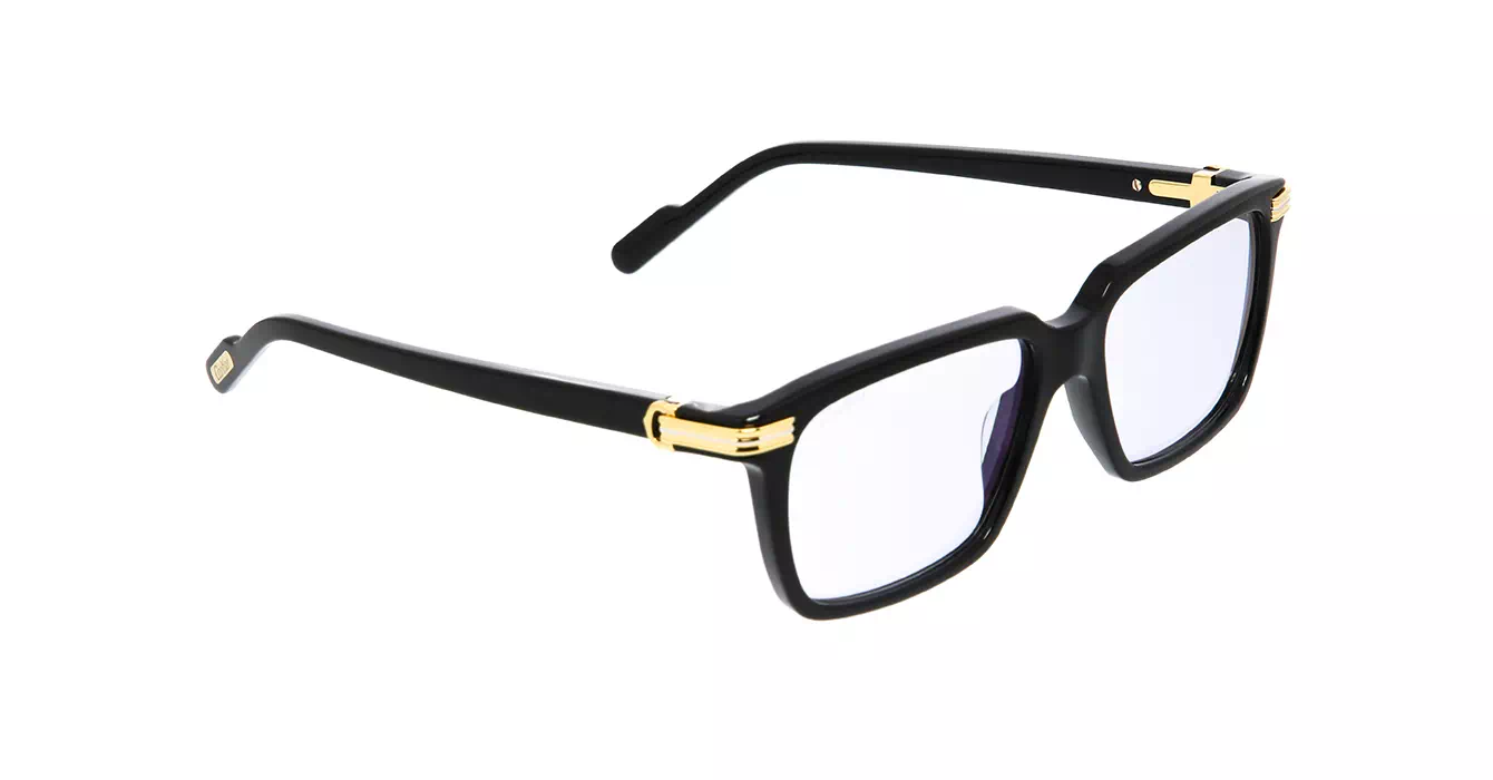 Cartier CT0220S 006 s55