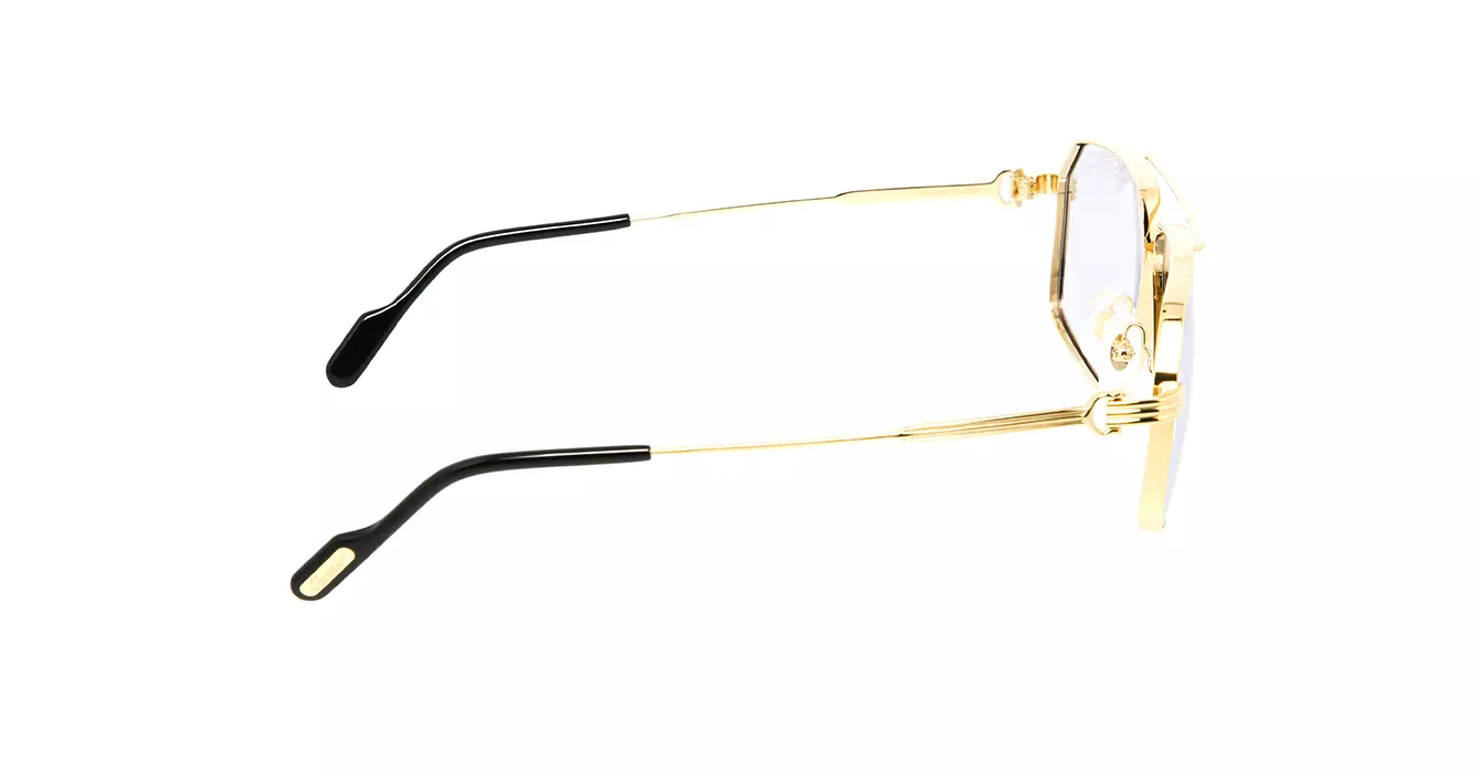 Cartier CT0270S 009 s58