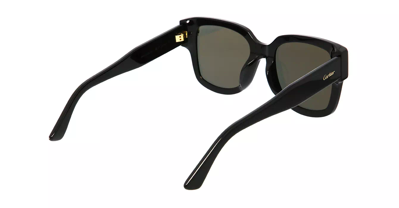 Cartier CT0357SA 001 s63