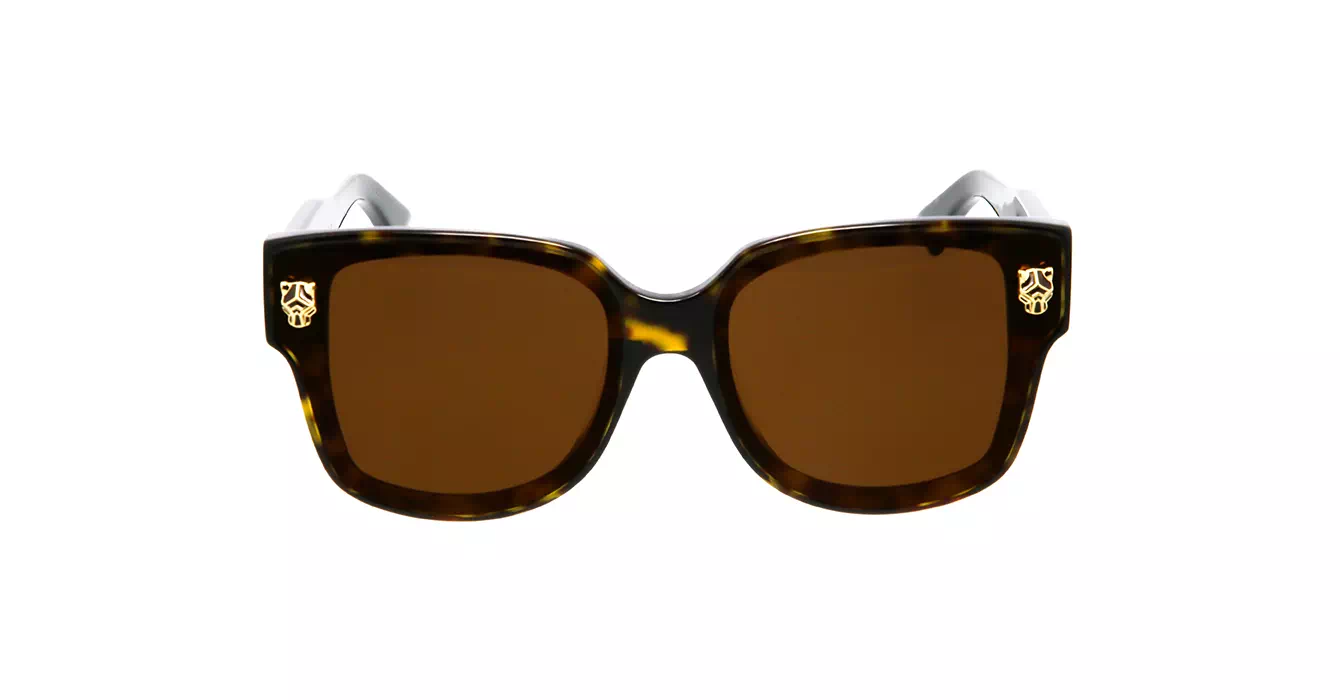 Cartier CT0357SA 002 s63