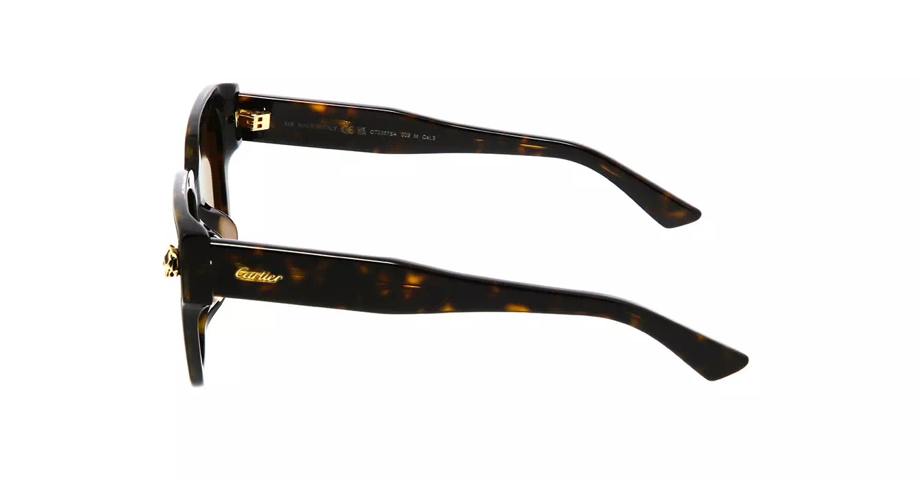 Cartier CT0357SA 002 s63