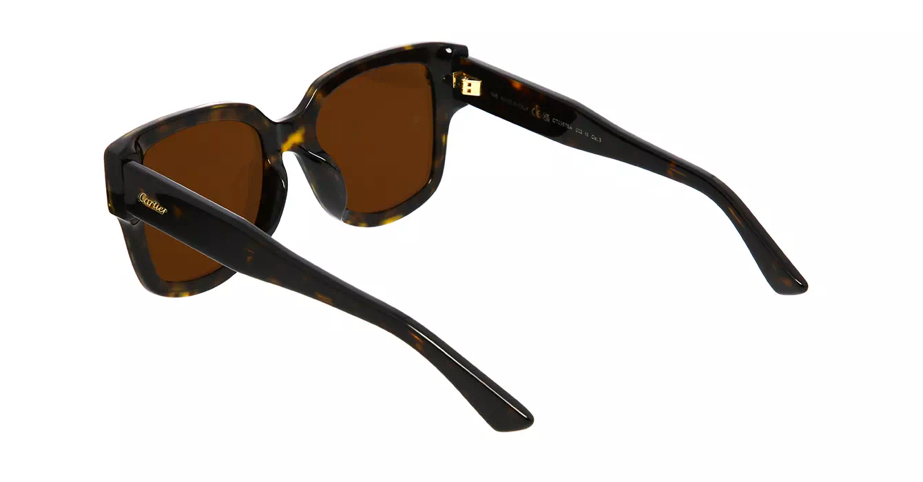 Cartier CT0357SA 002 s63