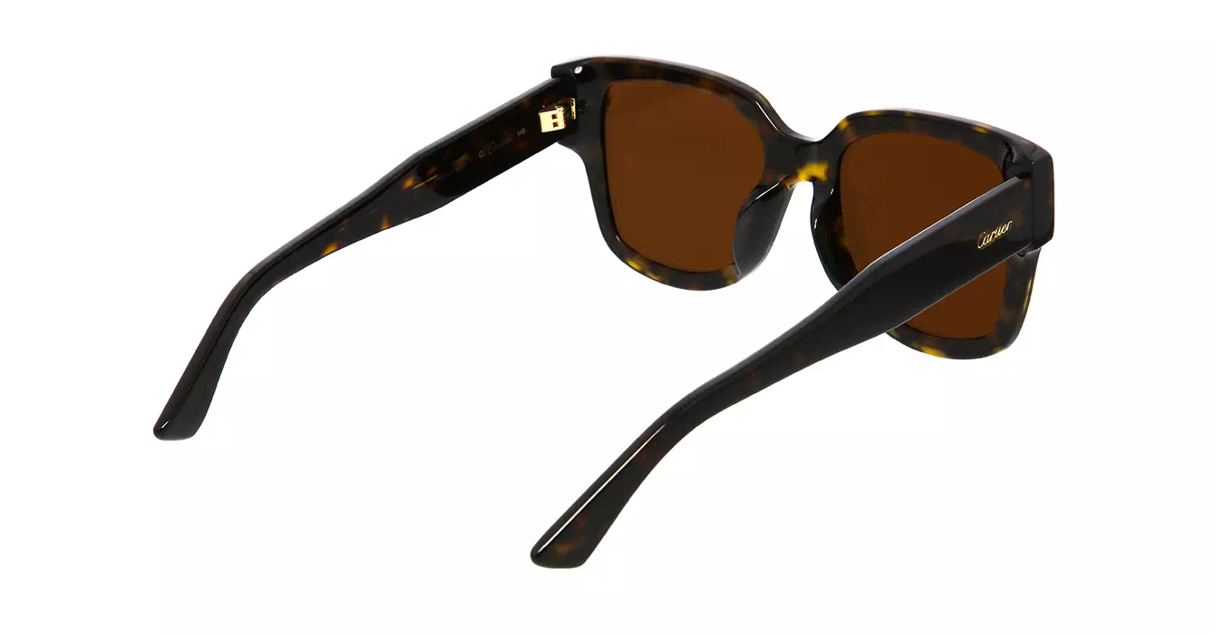 Cartier CT0357SA 002 s63
