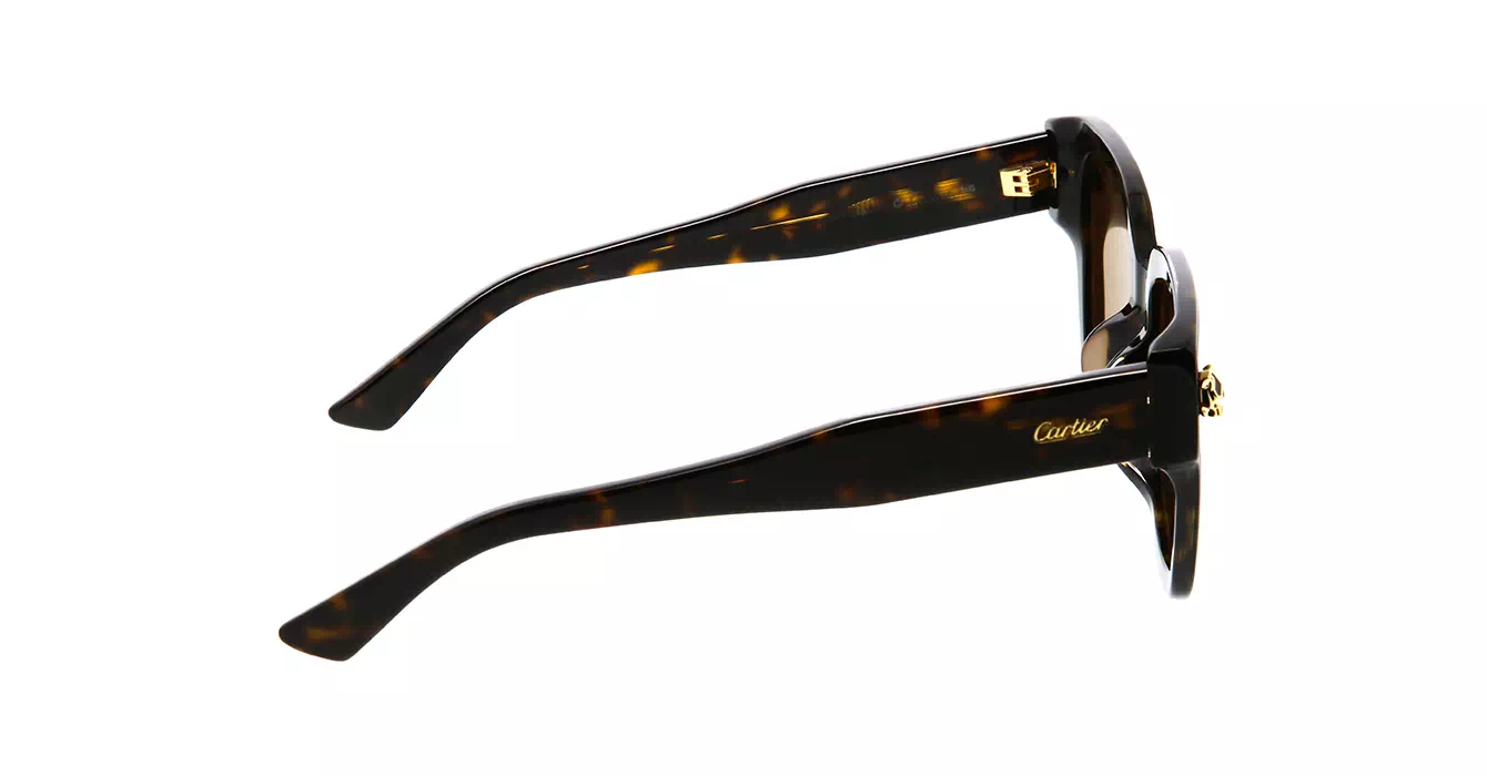 Cartier CT0357SA 002 s63