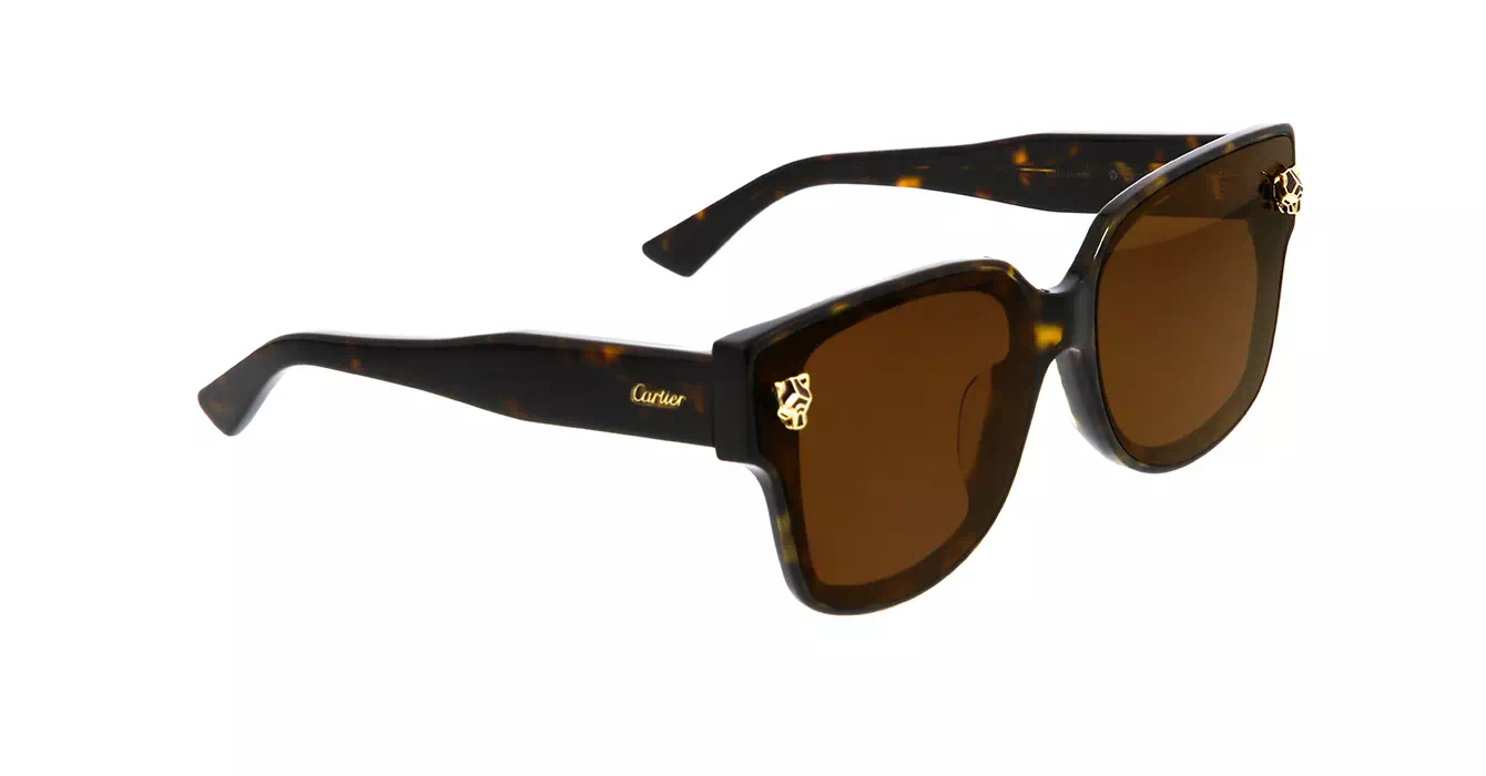 Cartier CT0357SA 002 s63
