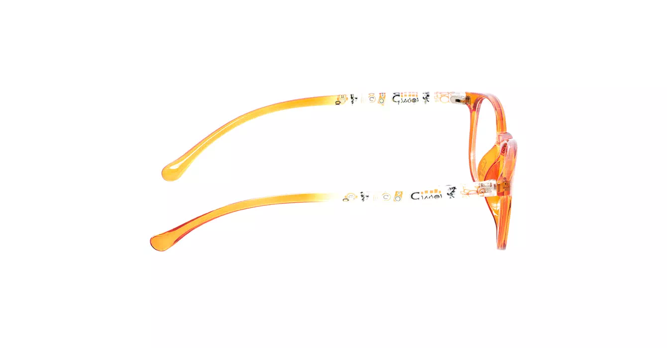 XYZ TR81811 C2 s48
