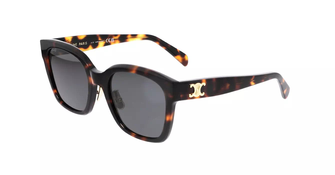 Celine CL40222F 53A s55