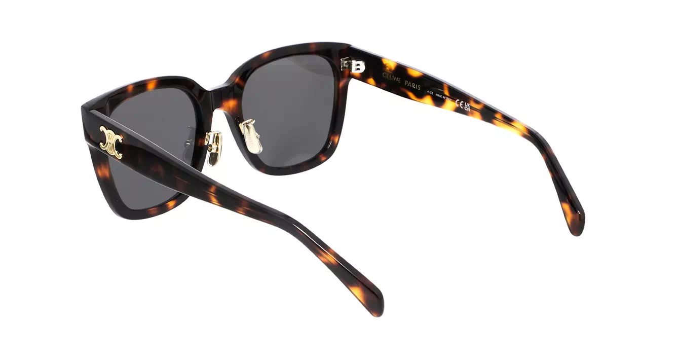 Celine CL40222F 53A s55