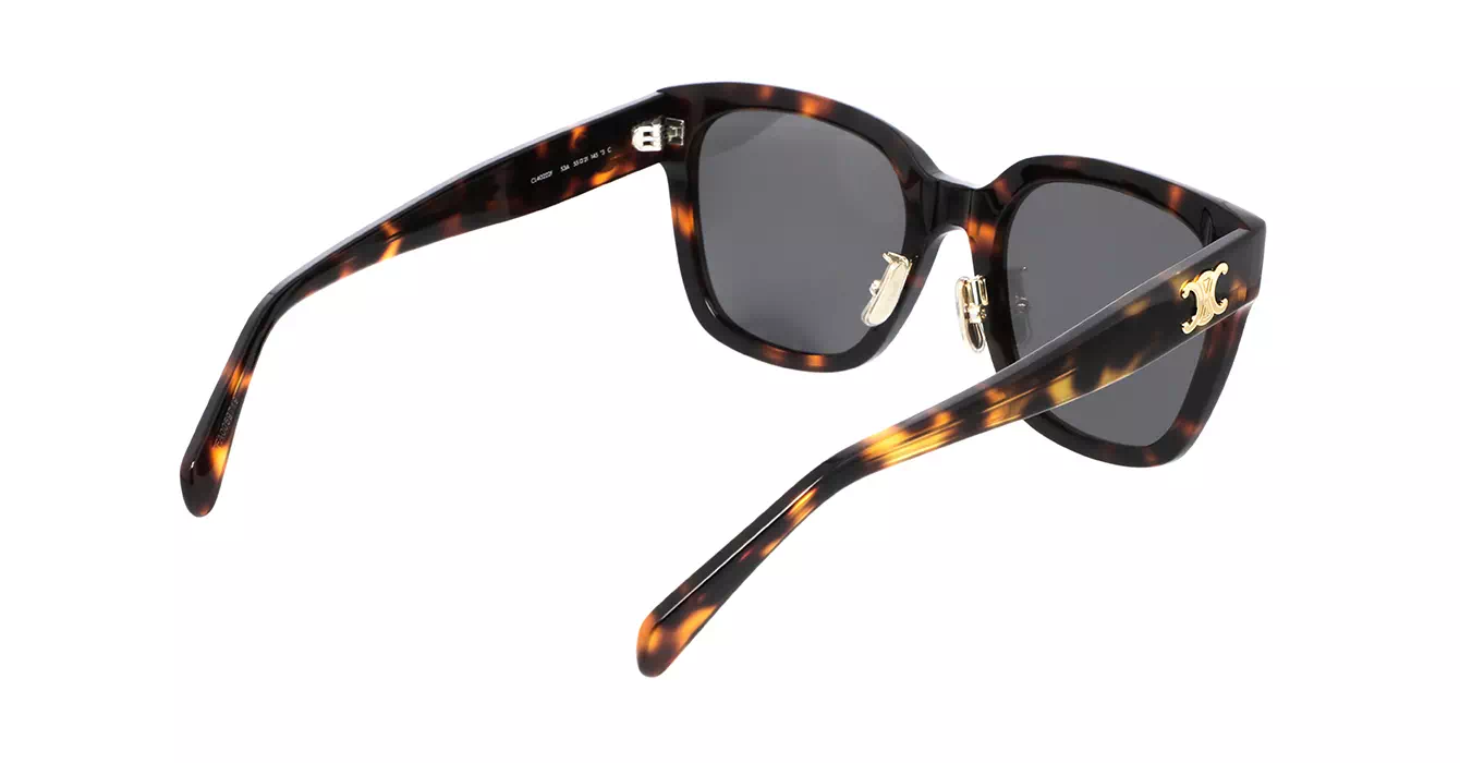 Celine CL40222F 53A s55