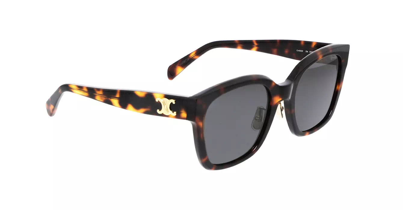 Celine CL40222F 53A s55
