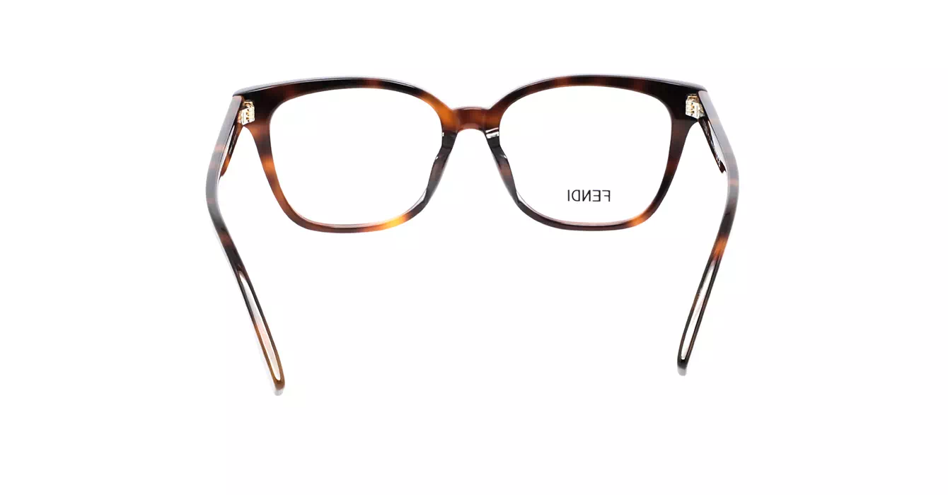 Fendi FE50045F 053 s53