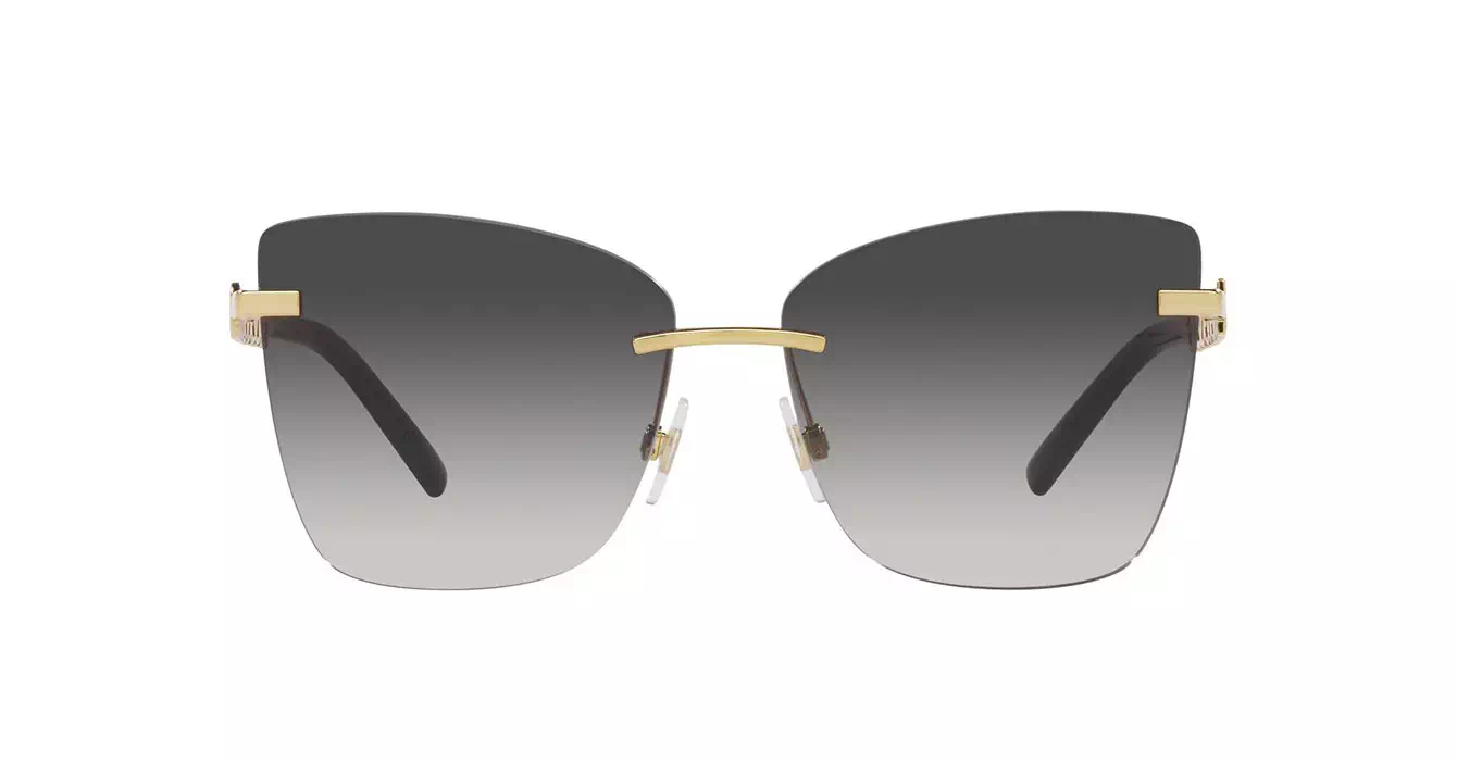Dolce & Gabbana 2289 02/8G s59