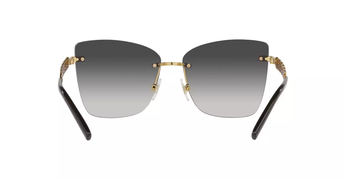 Dolce & Gabbana 2289 02/8G s59