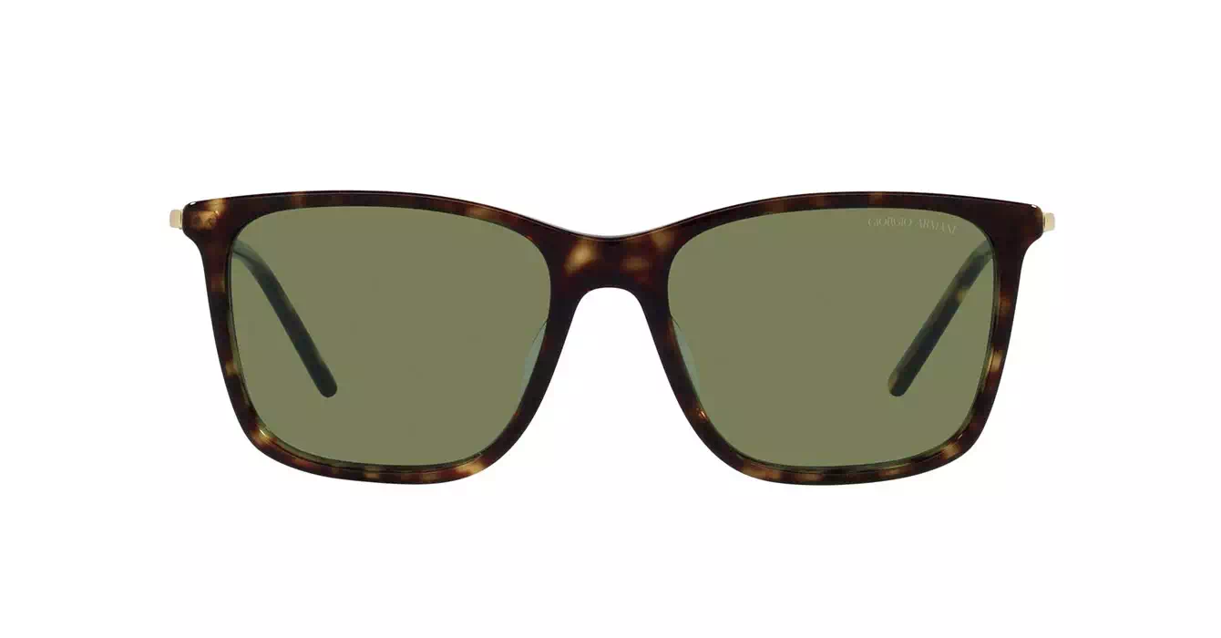 Giorgio Armani AR8176-F 5026/2A s57